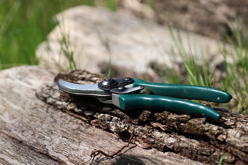 Mythical pruning
