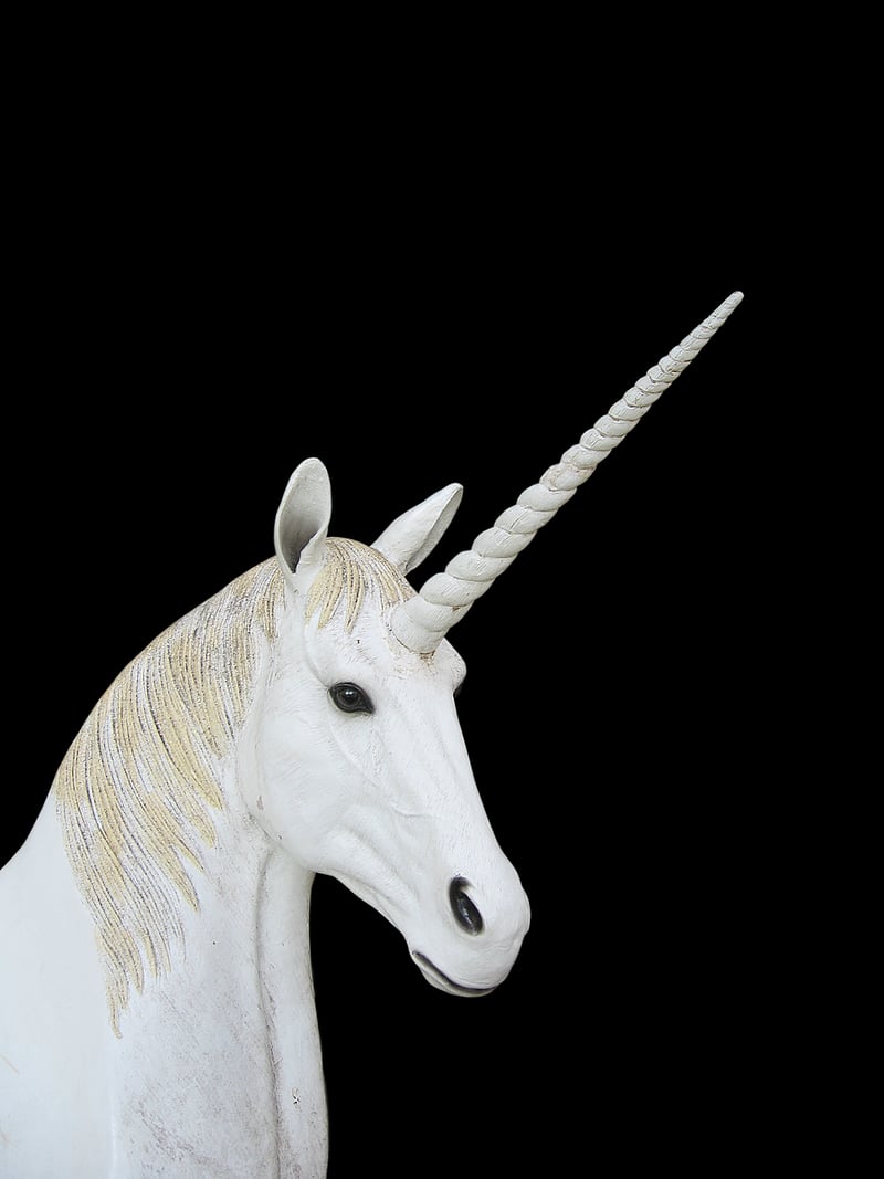Unicorn gardens